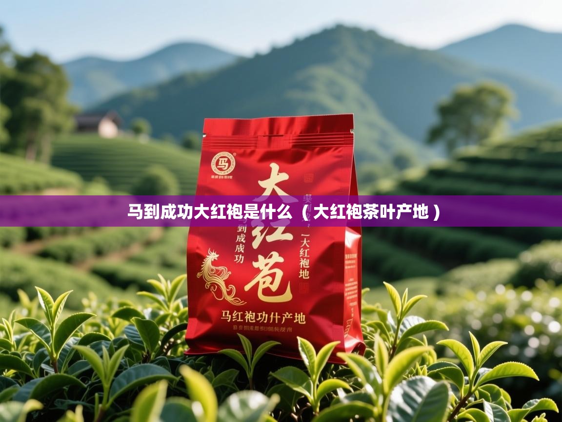  马到成功大红袍是什么  ( 大红袍茶叶产地 )