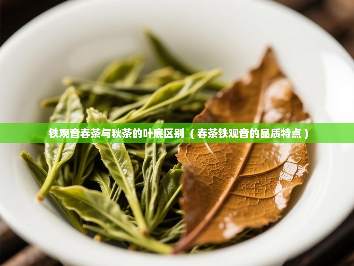  铁观音春茶与秋茶的叶底区别  ( 春茶铁观音的品质特点 )