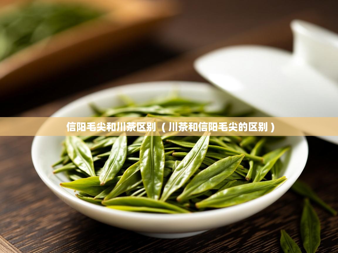 详细阅读: 信阳毛尖和川茶区别  ( 川茶和信阳毛尖的区别 )  信阳毛尖和川茶区别  ( 川茶和信阳毛尖的区别 )