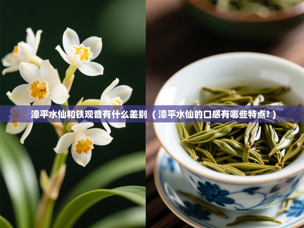  漳平水仙和铁观音有什么差别  ( 漳平水仙的口感有哪些特点? )
