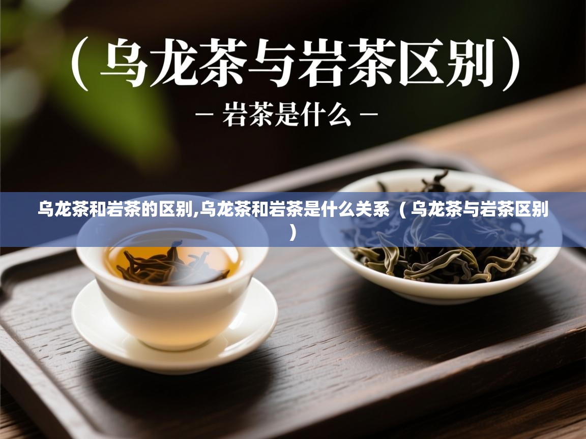  乌龙茶和岩茶的区别,乌龙茶和岩茶是什么关系  ( 乌龙茶与岩茶区别 )