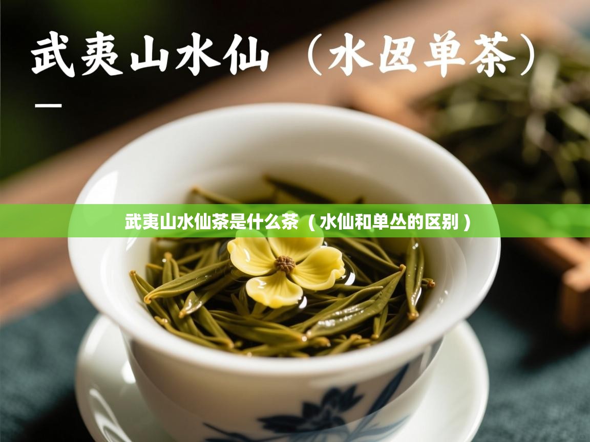  武夷山水仙茶是什么茶  ( 水仙和单丛的区别 )