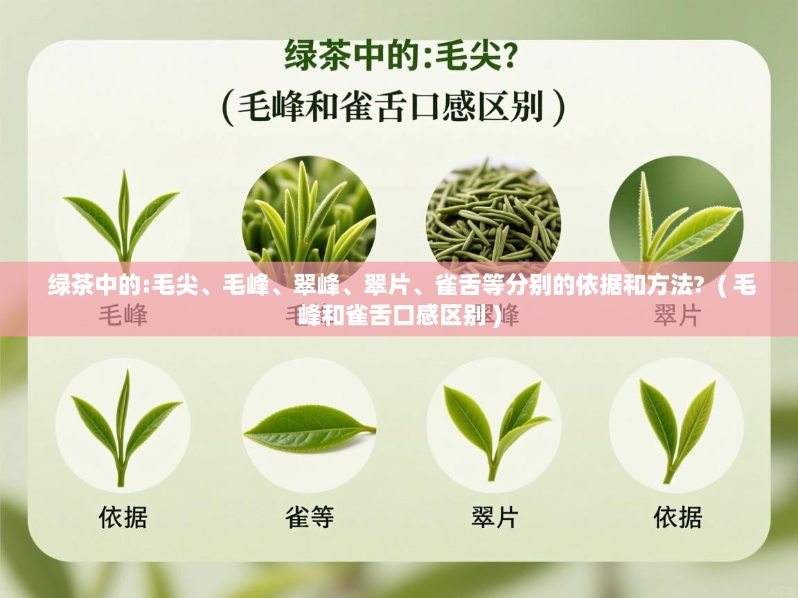  绿茶中的:毛尖、毛峰、翠峰、翠片、雀舌等分别的依据和方法?  ( 毛峰和雀舌口感区别 )