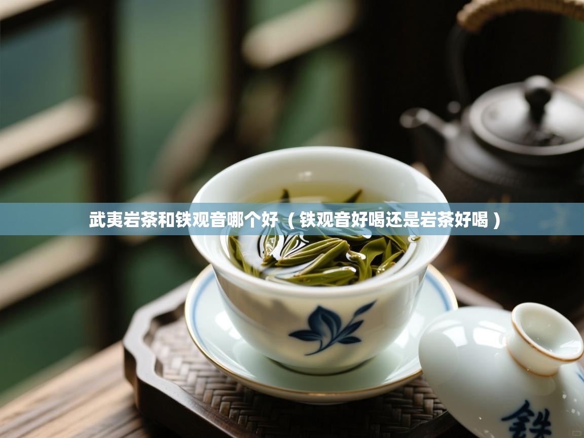  武夷岩茶和铁观音哪个好  ( 铁观音好喝还是岩茶好喝 )