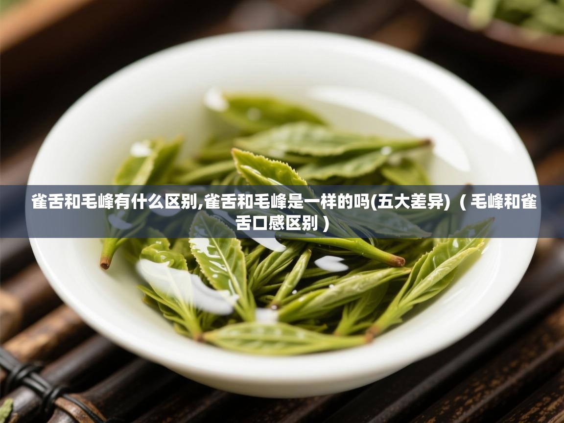  雀舌和毛峰有什么区别,雀舌和毛峰是一样的吗(五大差异)  ( 毛峰和雀舌口感区别 )