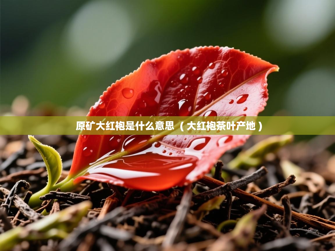  原矿大红袍是什么意思  ( 大红袍茶叶产地 )