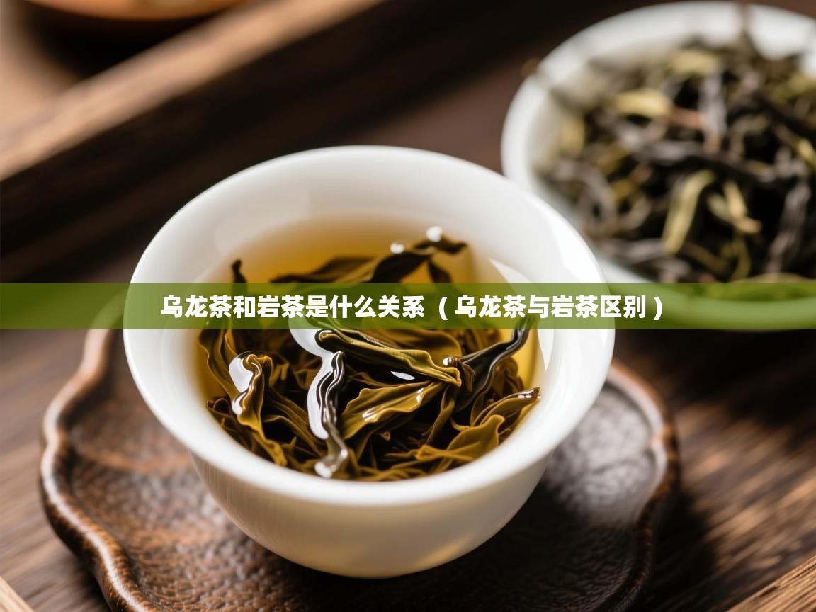  乌龙茶和岩茶是什么关系  ( 乌龙茶与岩茶区别 )