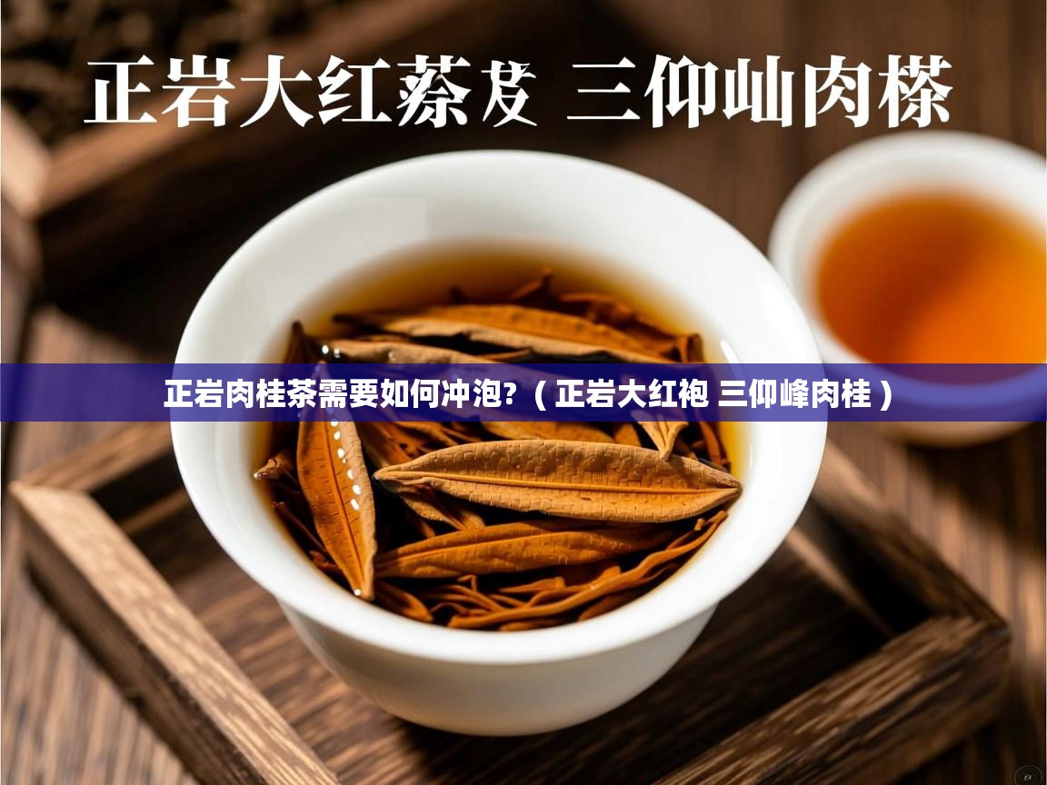  正岩肉桂茶需要如何冲泡?  ( 正岩大红袍 三仰峰肉桂 )