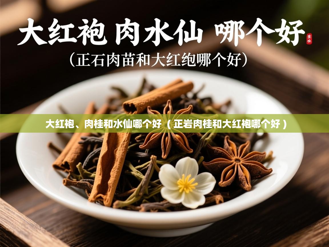  大红袍、肉桂和水仙哪个好  ( 正岩肉桂和大红袍哪个好 )