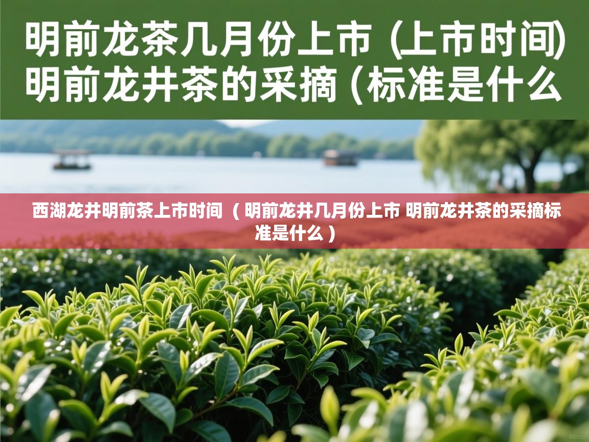  西湖龙井明前茶上市时间  ( 明前龙井几月份上市 明前龙井茶的采摘标准是什么 )