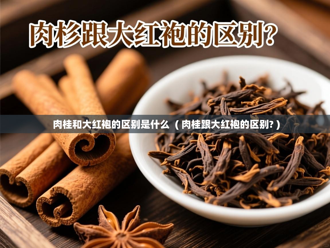  肉桂和大红袍的区别是什么  ( 肉桂跟大红袍的区别? )