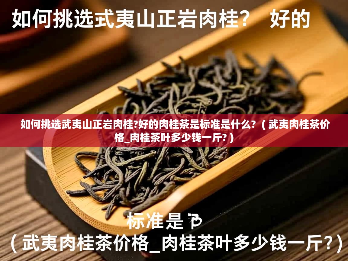  如何挑选武夷山正岩肉桂?好的肉桂茶是标准是什么?  ( 武夷肉桂茶价格_肉桂茶叶多少钱一斤? )