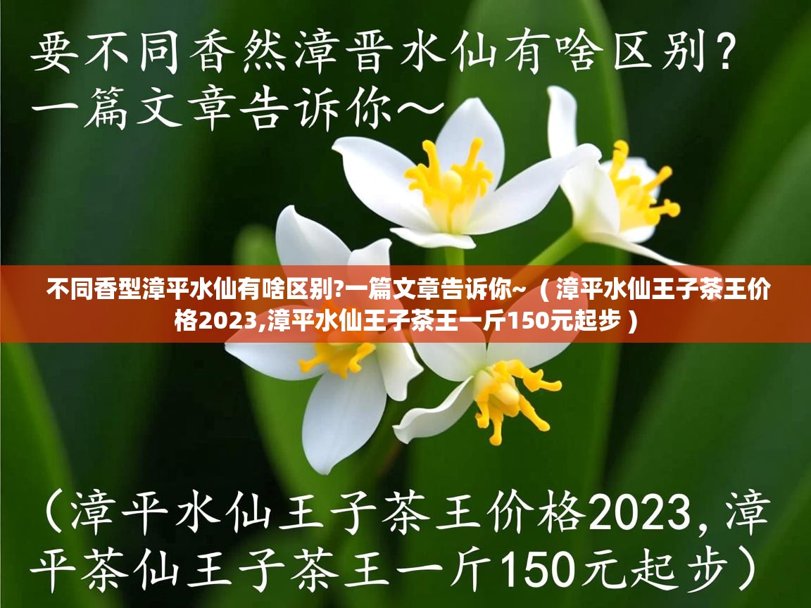  不同香型漳平水仙有啥区别?一篇文章告诉你~  ( 漳平水仙王子茶王价格2023,漳平水仙王子茶王一斤150元起步 )