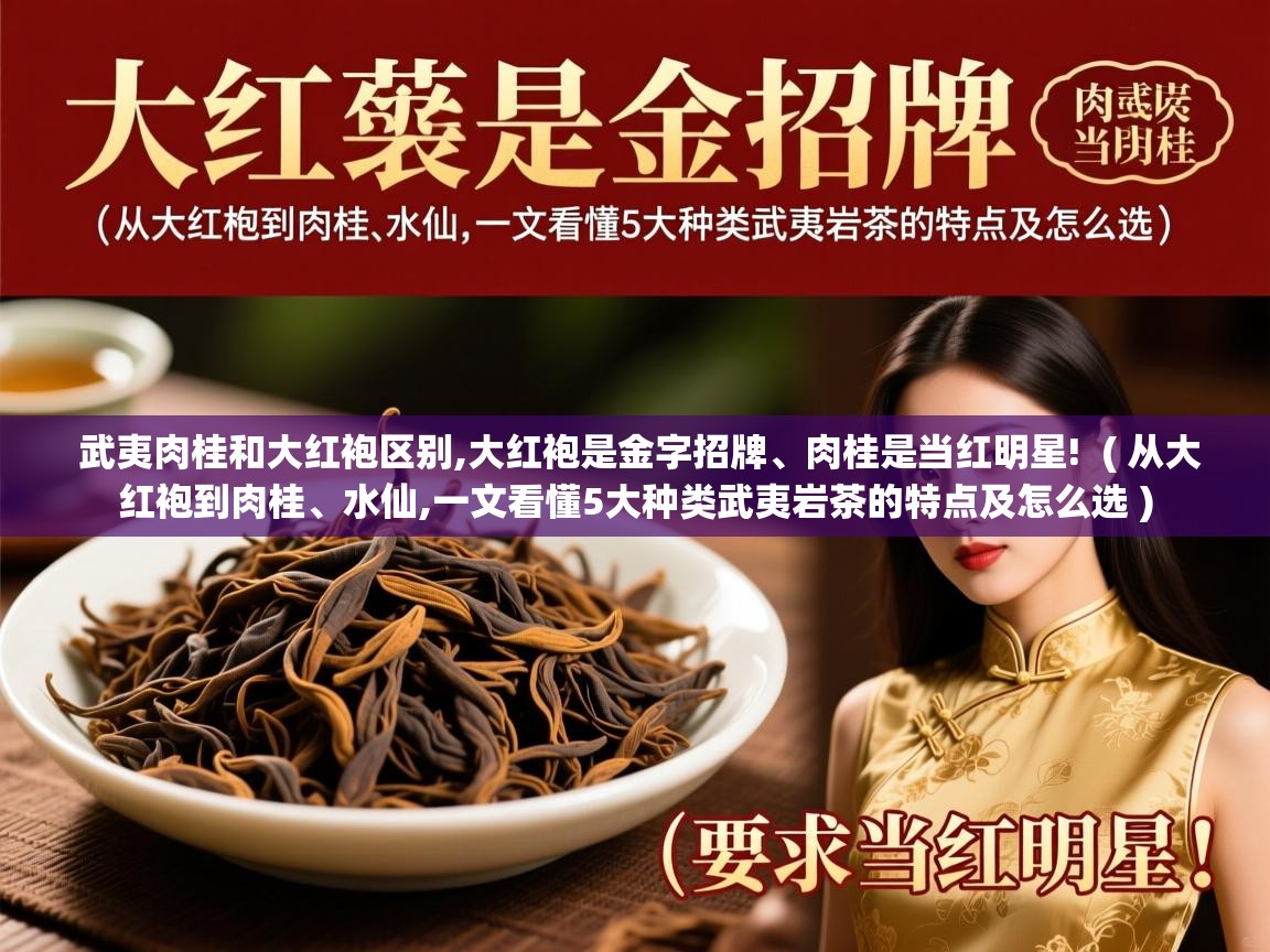  武夷肉桂和大红袍区别,大红袍是金字招牌、肉桂是当红明星!  ( 从大红袍到肉桂、水仙,一文看懂5大种类武夷岩茶的特点及怎么选 )