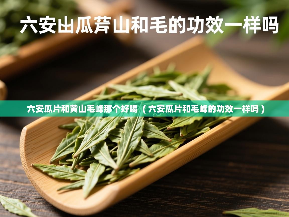 详细阅读: 六安瓜片和黄山毛峰那个好喝  ( 六安瓜片和毛峰的功效一样吗 )  六安瓜片和黄山毛峰那个好喝  ( 六安瓜片和毛峰的功效一样吗 )