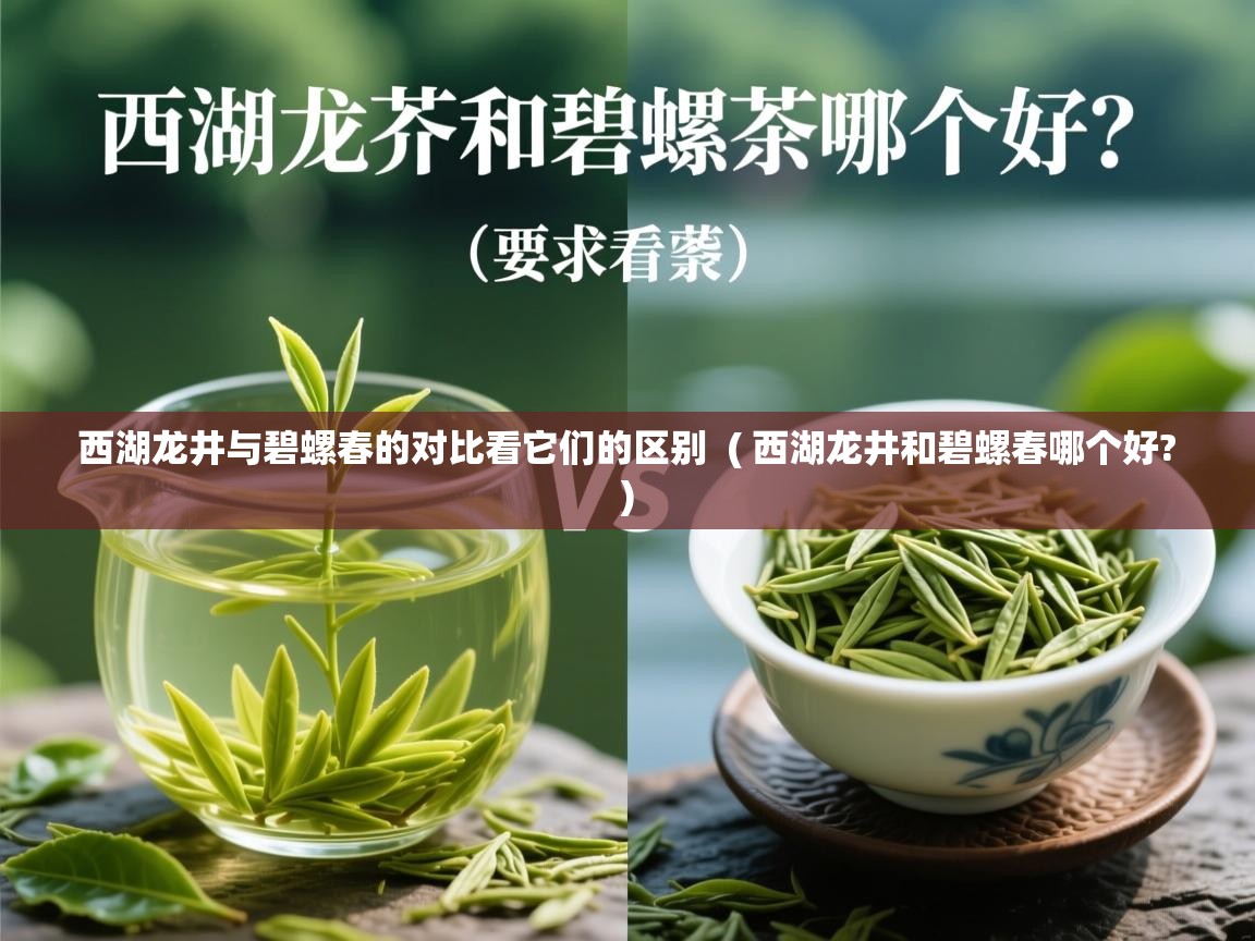  西湖龙井与碧螺春的对比看它们的区别  ( 西湖龙井和碧螺春哪个好? )