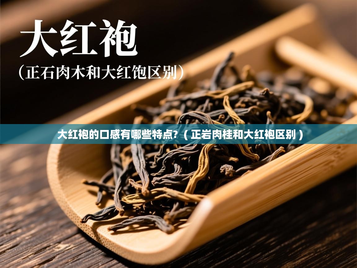 大红袍的口感有哪些特点?  ( 正岩肉桂和大红袍区别 )  大红袍的口感有哪些特点?  ( 正岩肉桂和大红袍区别 )