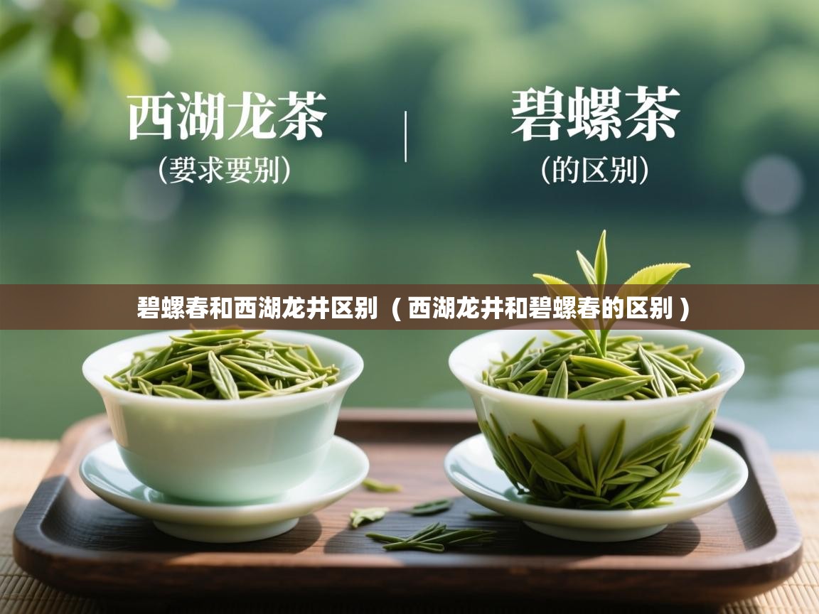  碧螺春和西湖龙井区别  ( 西湖龙井和碧螺春的区别 )