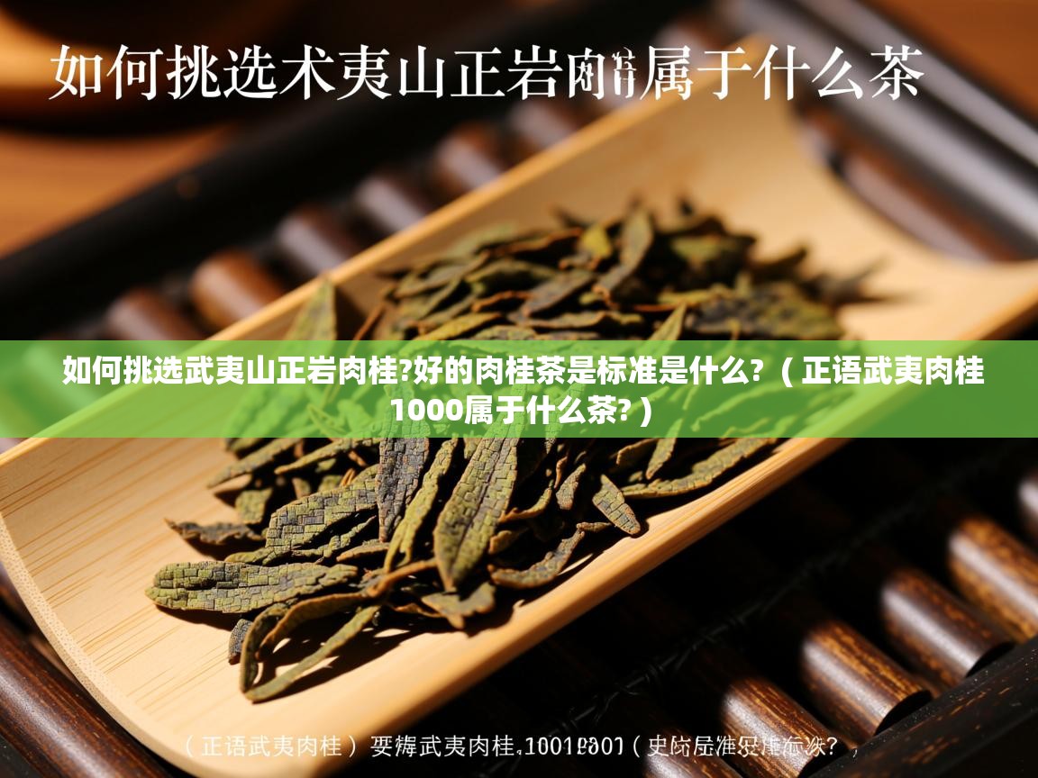  如何挑选武夷山正岩肉桂?好的肉桂茶是标准是什么?  ( 正语武夷肉桂1000属于什么茶? )