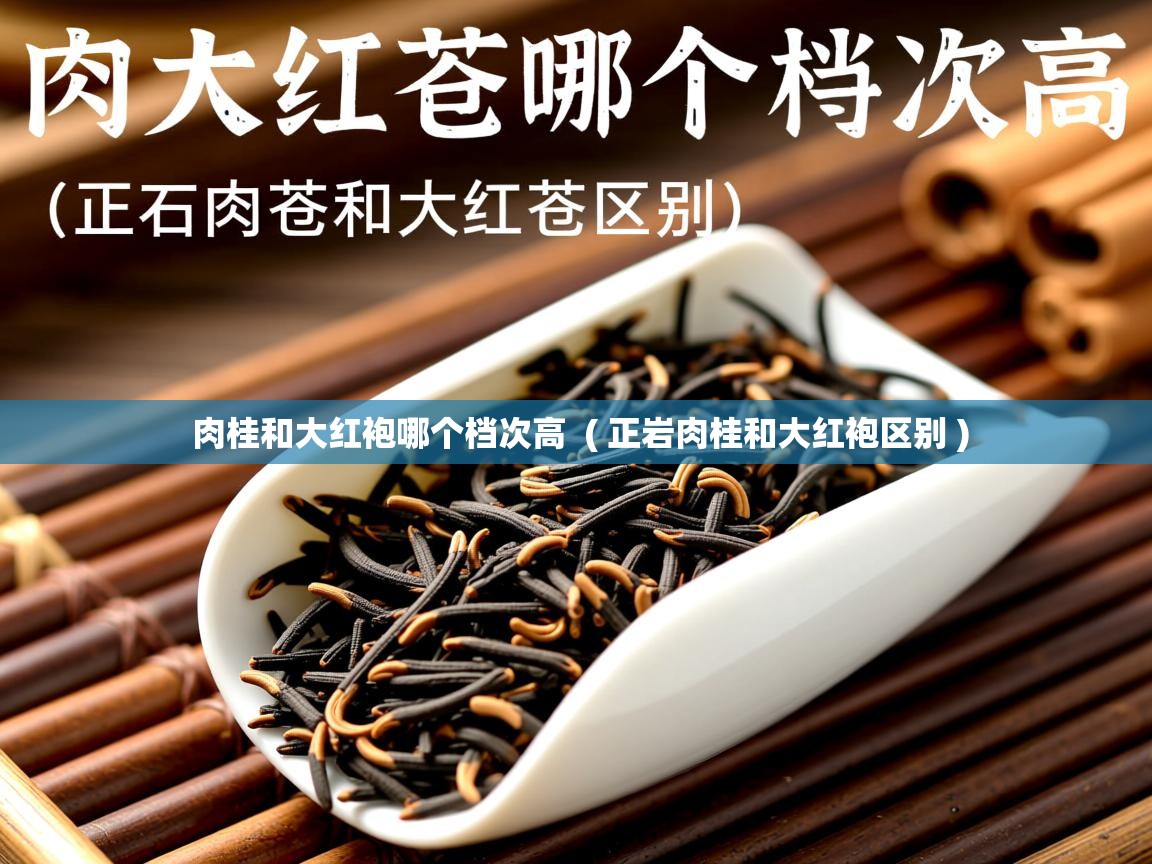 肉桂和大红袍哪个档次高  ( 正岩肉桂和大红袍区别 )  肉桂和大红袍哪个档次高  ( 正岩肉桂和大红袍区别 )
