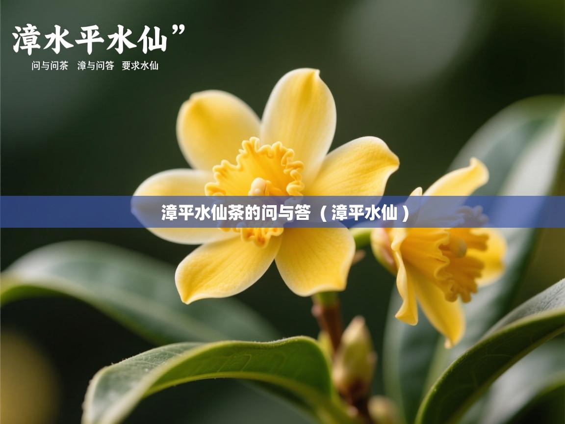  漳平水仙茶的问与答  ( 漳平水仙 )