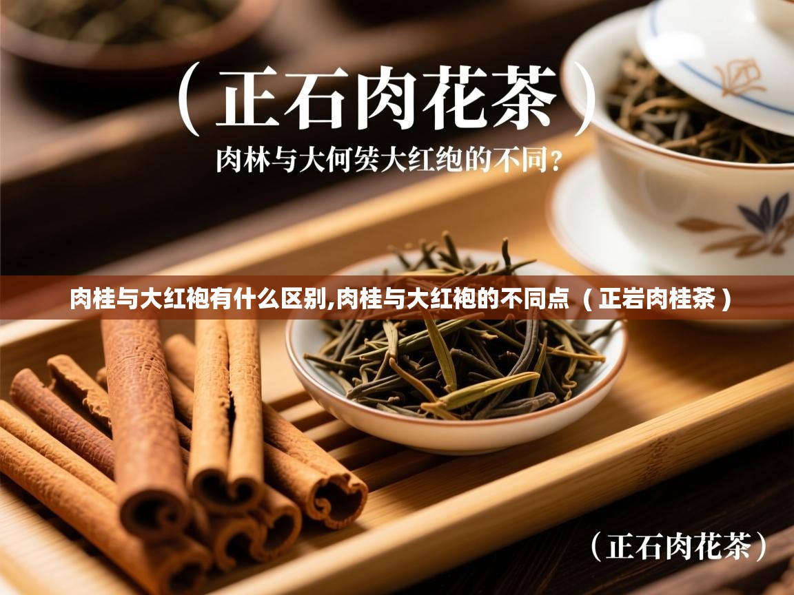  肉桂与大红袍有什么区别,肉桂与大红袍的不同点  ( 正岩肉桂茶 )