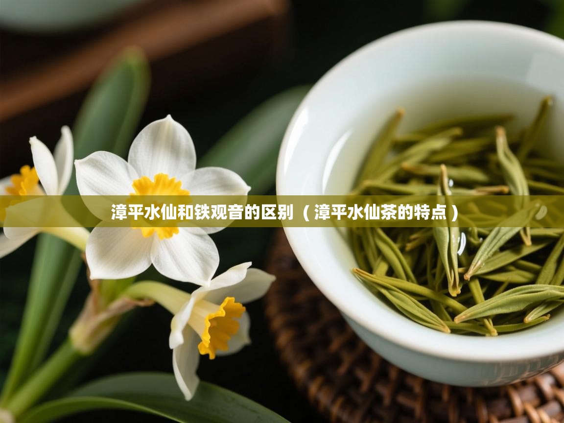  漳平水仙和铁观音的区别  ( 漳平水仙茶的特点 )