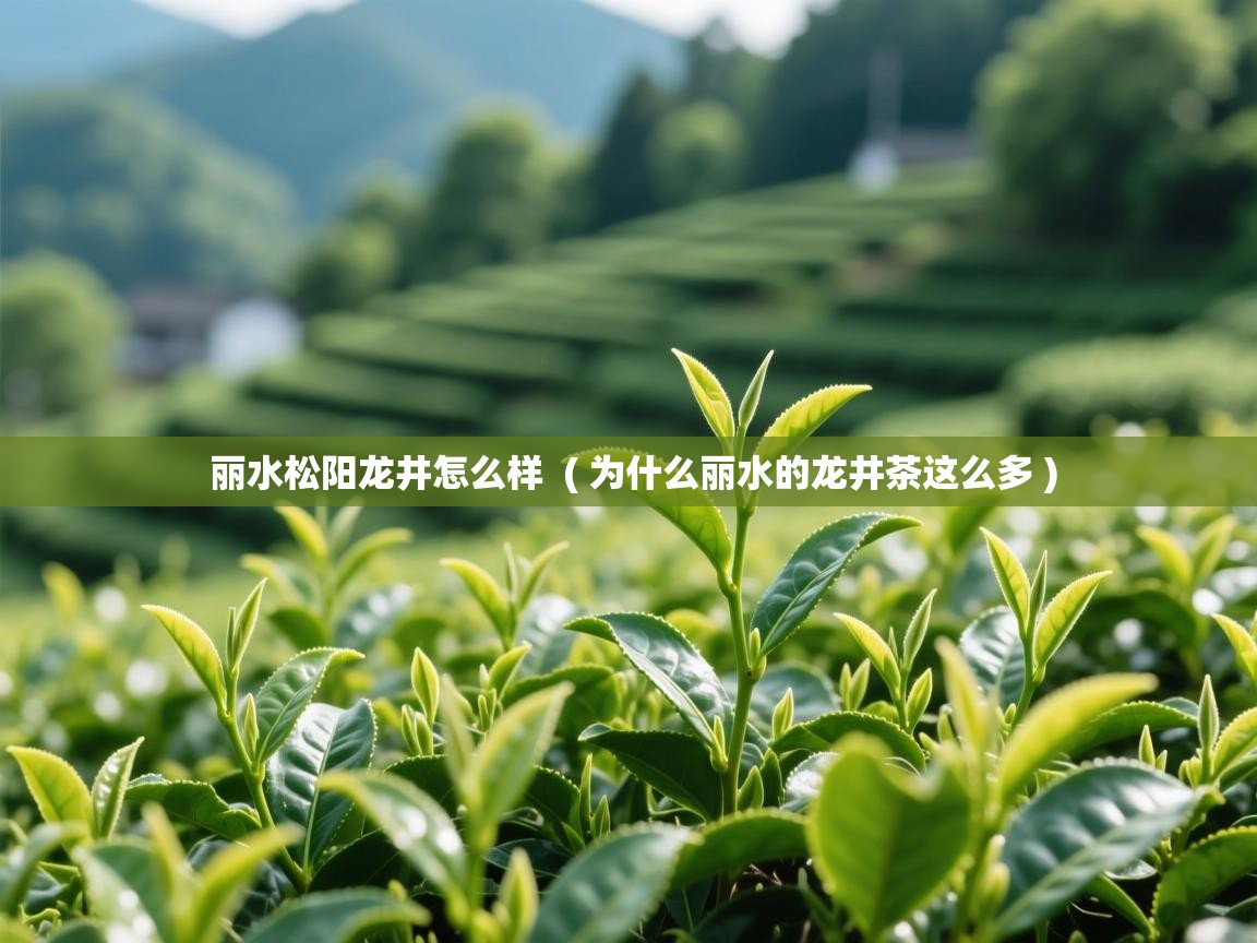  丽水松阳龙井怎么样  ( 为什么丽水的龙井茶这么多 )