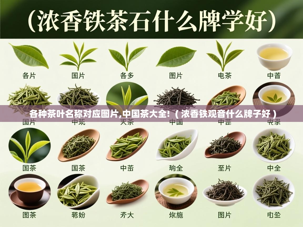  各种茶叶名称对应图片,中国茶大全!  ( 浓香铁观音什么牌子好 )