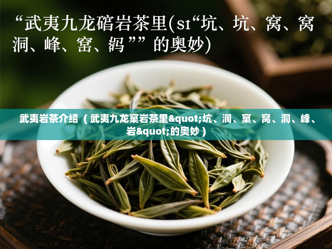  武夷岩茶介绍  ( 武夷九龙窠岩茶里"坑、涧、窠、窝、洞、峰、岩"的奥妙 )