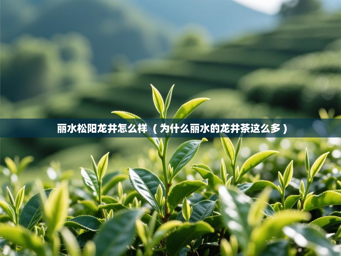  丽水松阳龙井怎么样  ( 为什么丽水的龙井茶这么多 )