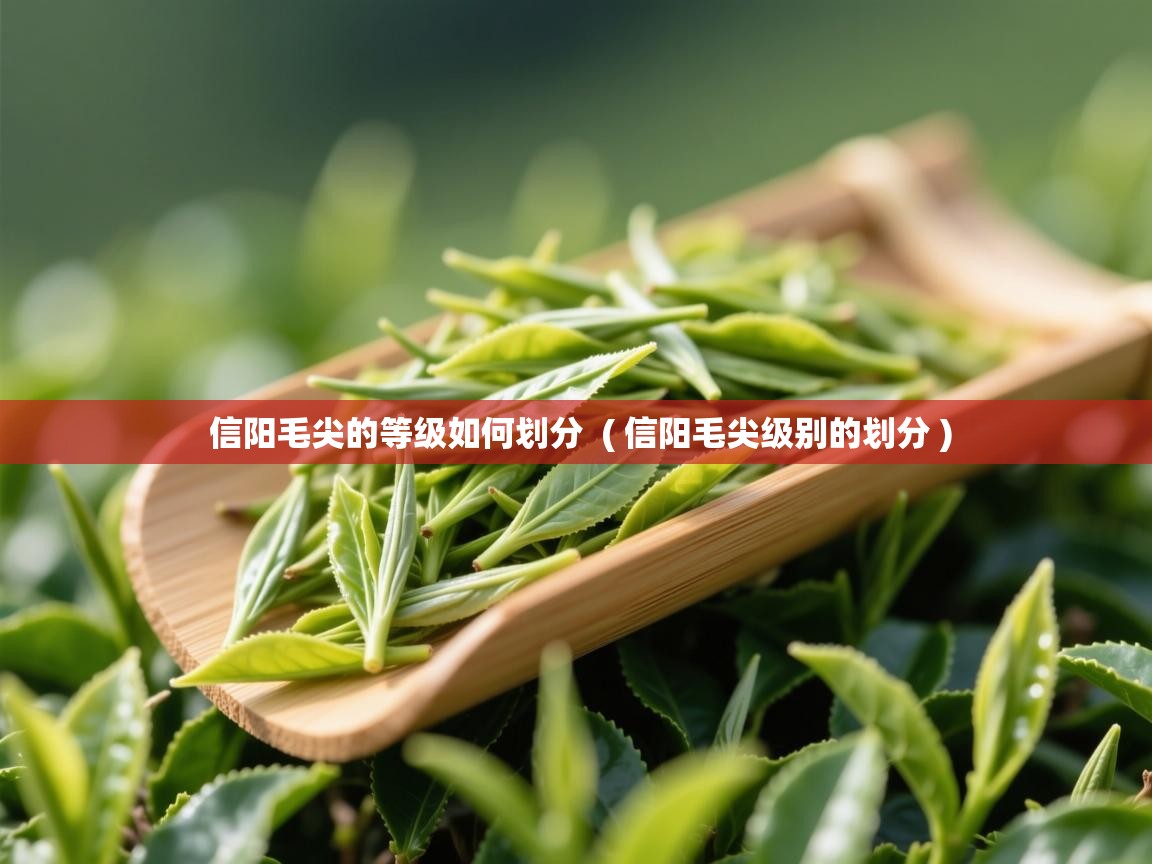 详细阅读: 信阳毛尖的等级如何划分  ( 信阳毛尖级别的划分 )  信阳毛尖的等级如何划分  ( 信阳毛尖级别的划分 )