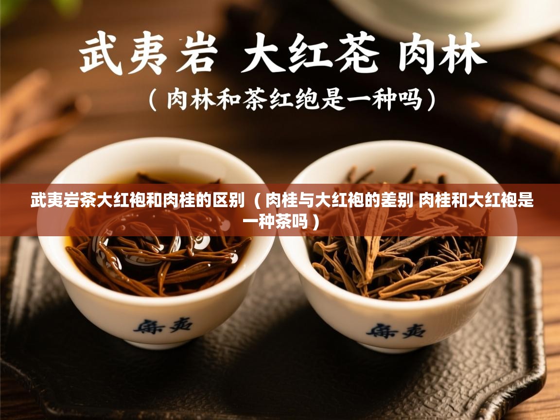  武夷岩茶大红袍和肉桂的区别  ( 肉桂与大红袍的差别 肉桂和大红袍是一种茶吗 )
