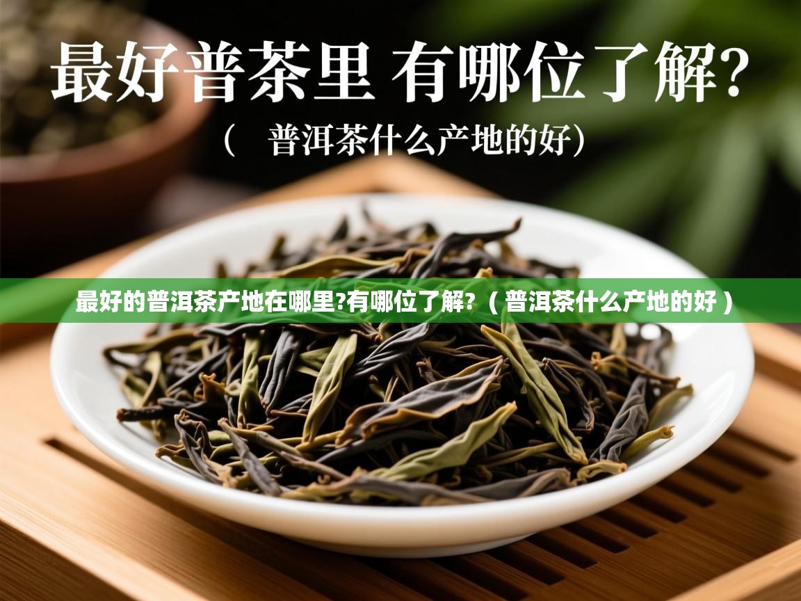 最好的普洱茶产地在哪里?有哪位了解?  ( 普洱茶什么产地的好 )