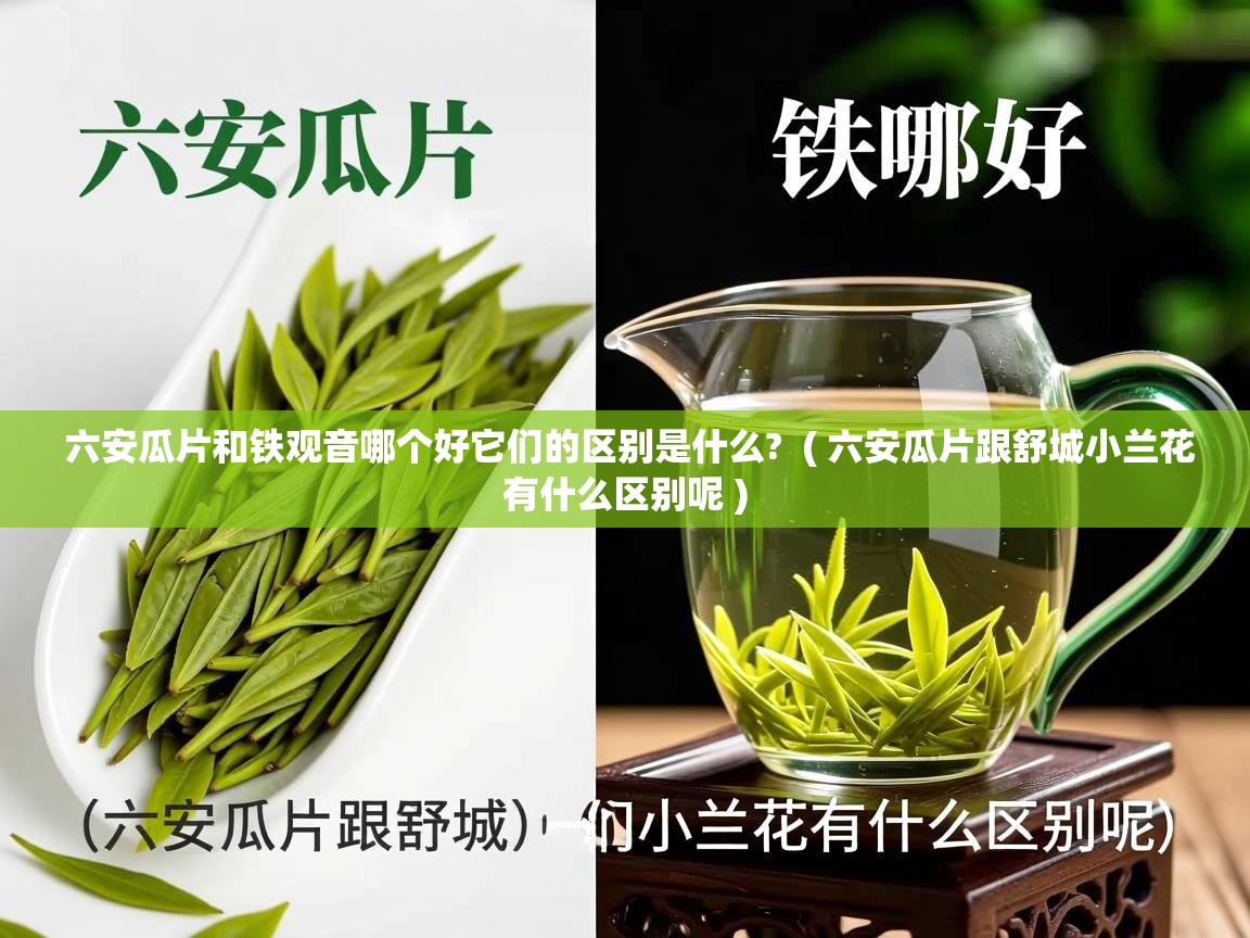 六安瓜片和铁观音哪个好它们的区别是什么?  ( 六安瓜片跟舒城小兰花有什么区别呢 )  六安瓜片和铁观音哪个好它们的区别是什么?  ( 六安瓜片跟舒城小兰花有什么区别呢 )