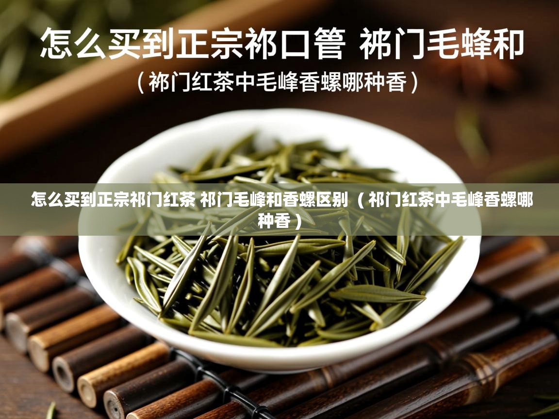 怎么买到正宗祁门红茶 祁门毛峰和香螺区别  ( 祁门红茶中毛峰香螺哪种香 )  怎么买到正宗祁门红茶 祁门毛峰和香螺区别  ( 祁门红茶中毛峰香螺哪种香 )