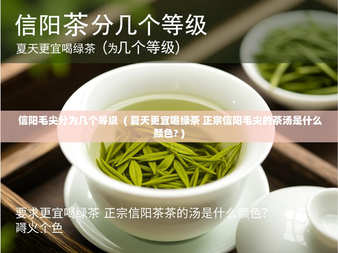  信阳毛尖分为几个等级  ( 夏天更宜喝绿茶 正宗信阳毛尖的茶汤是什么颜色? )