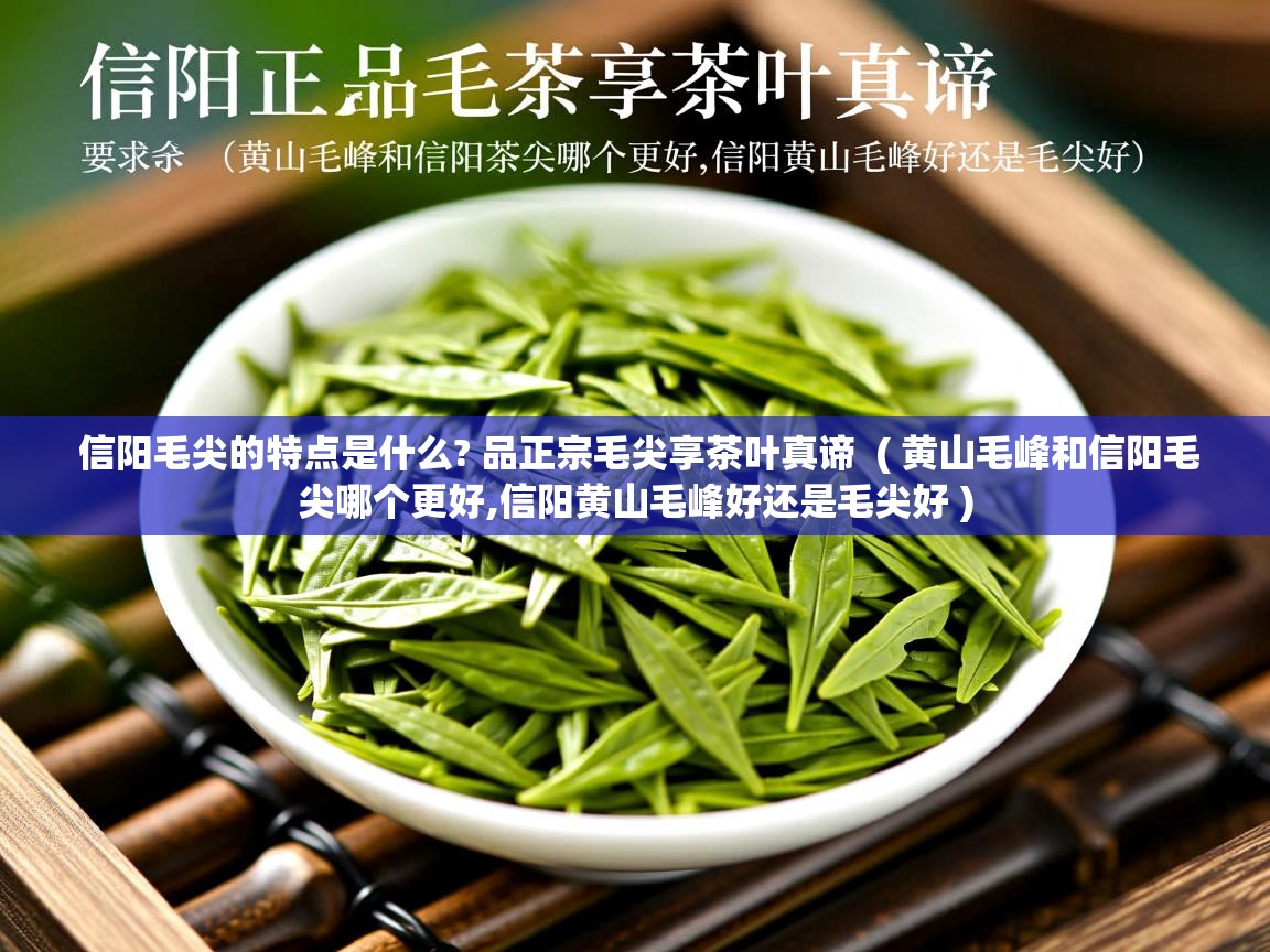  信阳毛尖的特点是什么? 品正宗毛尖享茶叶真谛  ( 黄山毛峰和信阳毛尖哪个更好,信阳黄山毛峰好还是毛尖好 )