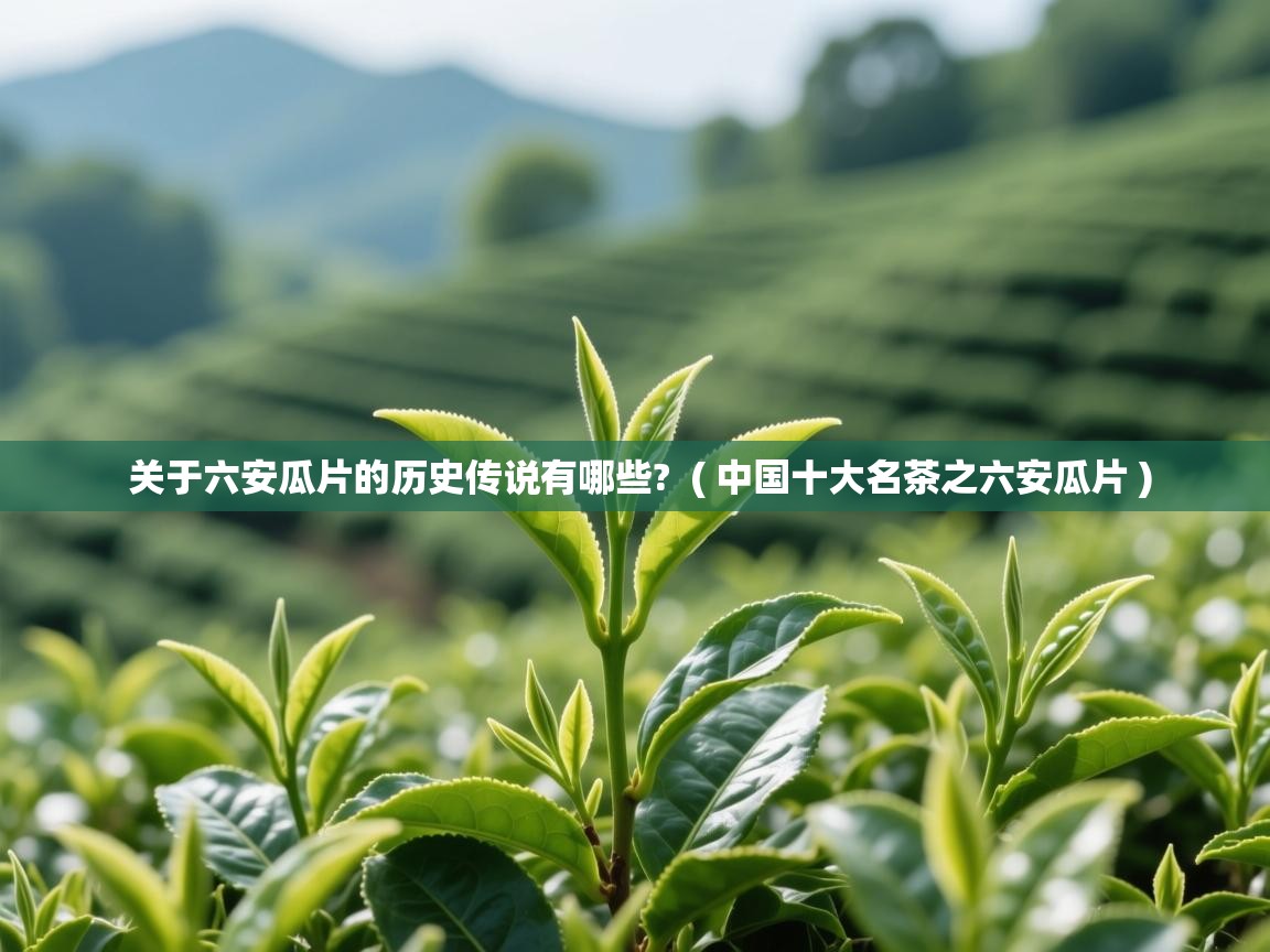  关于六安瓜片的历史传说有哪些?  ( 中国十大名茶之六安瓜片 )
