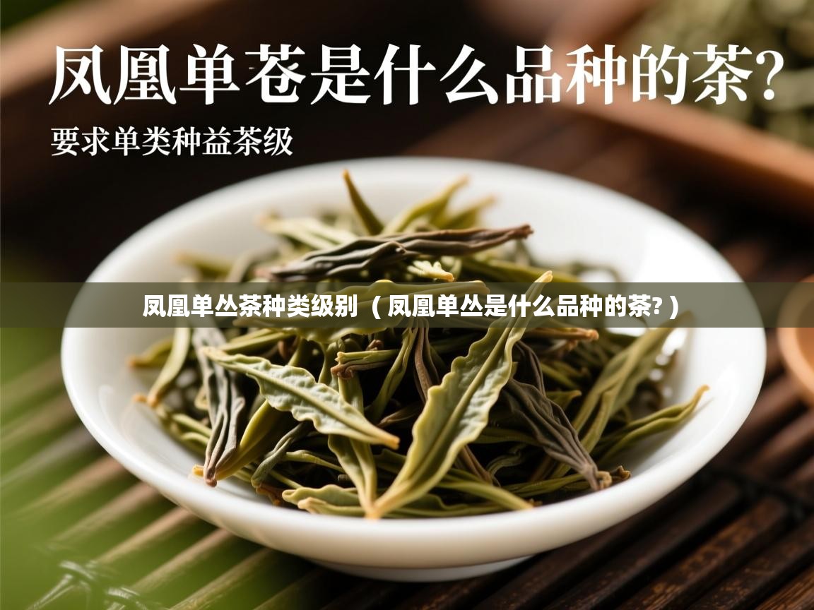 详细阅读: 凤凰单丛茶种类级别  ( 凤凰单丛是什么品种的茶? )  凤凰单丛茶种类级别  ( 凤凰单丛是什么品种的茶? )