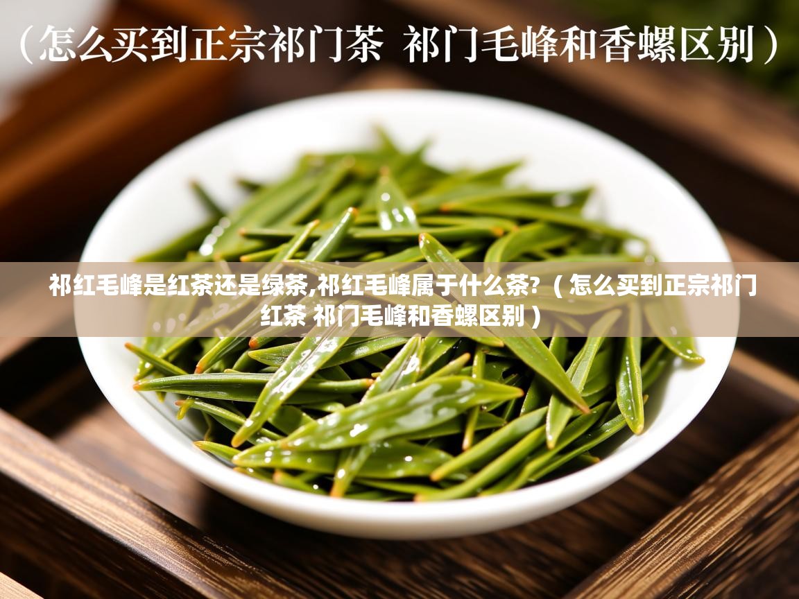 祁红毛峰是红茶还是绿茶,祁红毛峰属于什么茶?  ( 怎么买到正宗祁门红茶 祁门毛峰和香螺区别 )  祁红毛峰是红茶还是绿茶,祁红毛峰属于什么茶?  ( 怎么买到正宗祁门红茶 祁门毛峰和香螺区别 )