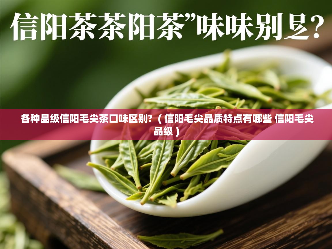  各种品级信阳毛尖茶口味区别?  ( 信阳毛尖品质特点有哪些 信阳毛尖品级 )
