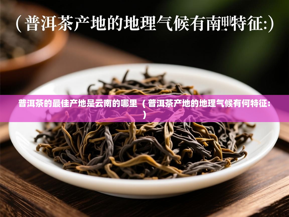 详细阅读: 普洱茶的最佳产地是云南的哪里  ( 普洱茶产地的地理气候有何特征: )  普洱茶的最佳产地是云南的哪里  ( 普洱茶产地的地理气候有何特征: )