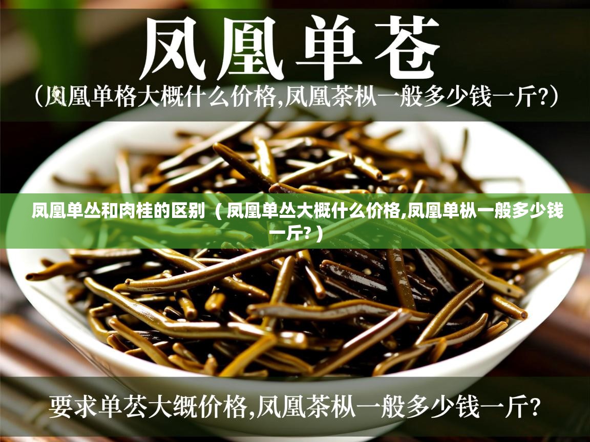 详细阅读: 凤凰单丛和肉桂的区别  ( 凤凰单丛大概什么价格,凤凰单枞一般多少钱一斤? )  凤凰单丛和肉桂的区别  ( 凤凰单丛大概什么价格,凤凰单枞一般多少钱一斤? )