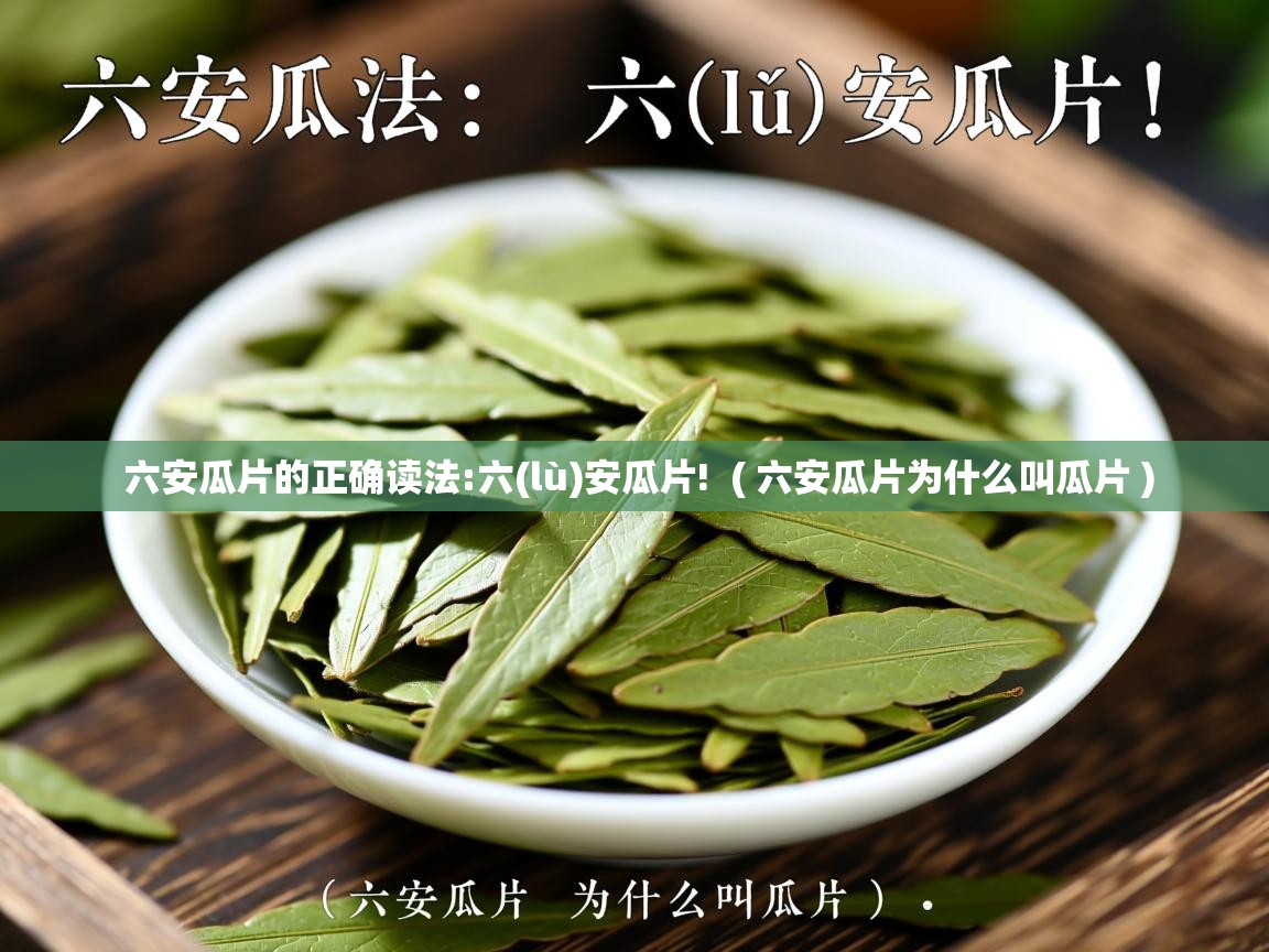 详细阅读: 六安瓜片的正确读法:六(lù)安瓜片!  ( 六安瓜片为什么叫瓜片 )  六安瓜片的正确读法:六(lù)安瓜片!  ( 六安瓜片为什么叫瓜片 )