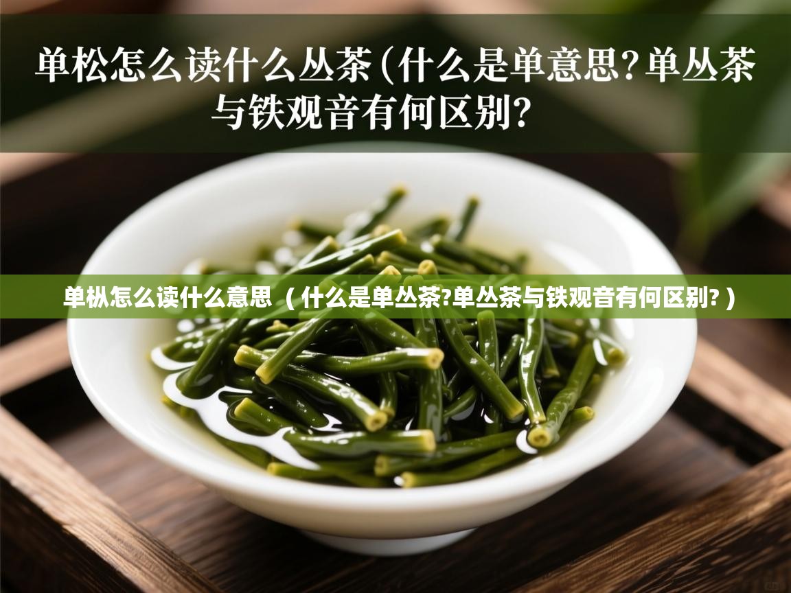 详细阅读: 单枞怎么读什么意思  ( 什么是单丛茶?单丛茶与铁观音有何区别? )  单枞怎么读什么意思  ( 什么是单丛茶?单丛茶与铁观音有何区别? )
