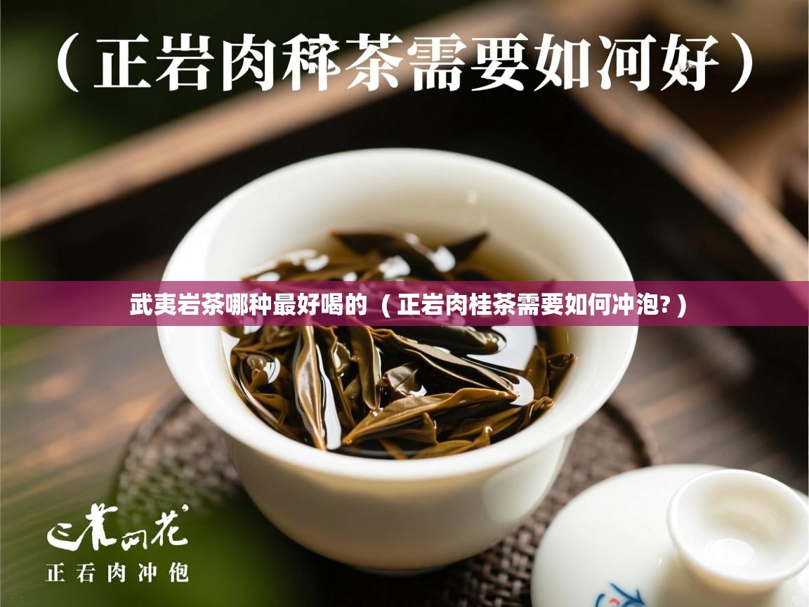 详细阅读: 武夷岩茶哪种最好喝的  ( 正岩肉桂茶需要如何冲泡? )  武夷岩茶哪种最好喝的  ( 正岩肉桂茶需要如何冲泡? )