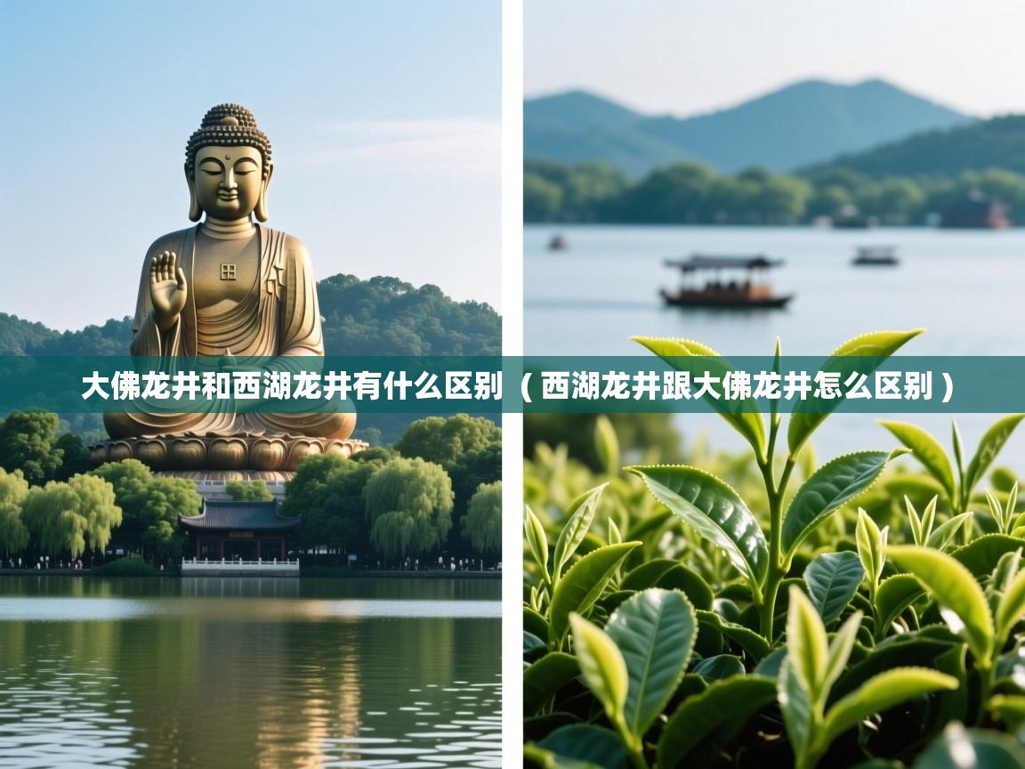 详细阅读: 大佛龙井和西湖龙井有什么区别  ( 西湖龙井跟大佛龙井怎么区别 )  大佛龙井和西湖龙井有什么区别  ( 西湖龙井跟大佛龙井怎么区别 )