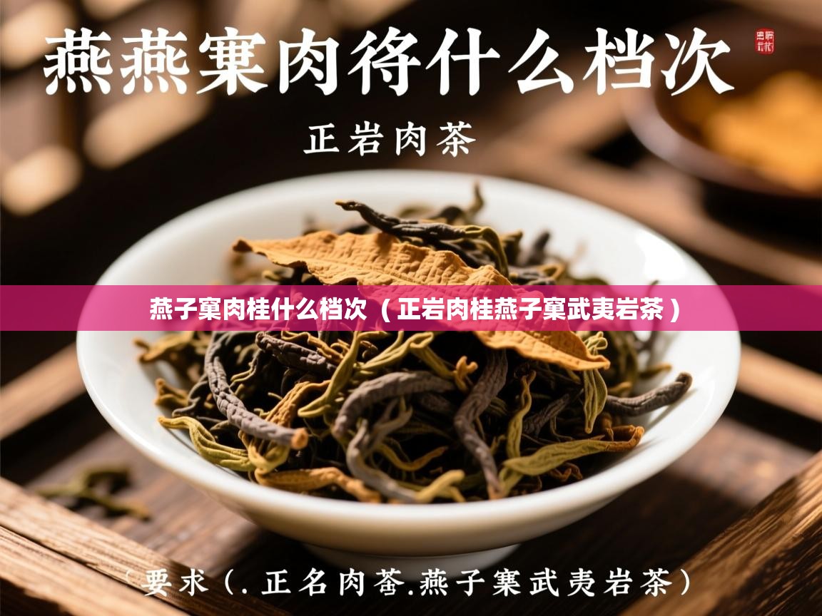  燕子窠肉桂什么档次  ( 正岩肉桂燕子窠武夷岩茶 )