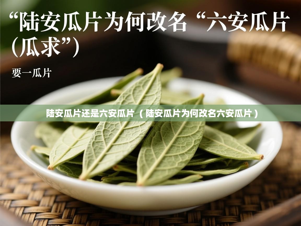  陆安瓜片还是六安瓜片  ( 陆安瓜片为何改名六安瓜片 )